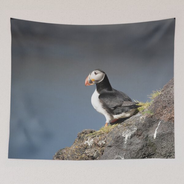 Item preview, Solitary Puffin – Icelandic Cliff side View designed and sold by Kristvin Gudmundsson.