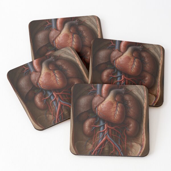 Item preview, Human Cardiovascular System designed and sold by Seethingsenterprise.
