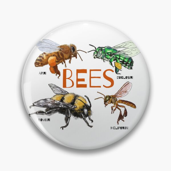 Item preview, Bee Mosaic: Apini, Meliponini, Bombini, Euglossini designed and sold by Ayqueabeja.
