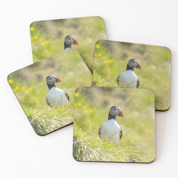 Item preview, Curious Puffin in Icelandic Grass designed and sold by Kristvin Gudmundsson.