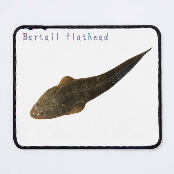Item preview, No.021 – Flathead – The Ambush Master of Sandy Beds designed and sold by taichi69nz.