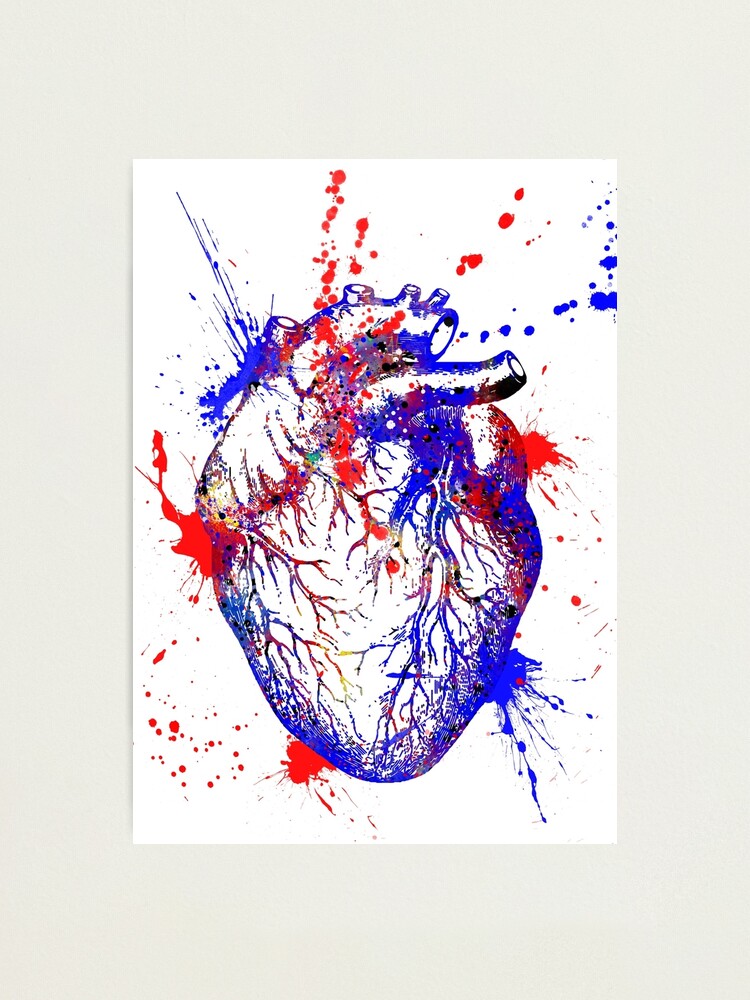 “Human heart, heart anatomy, medical art, watercolor heart, heart print