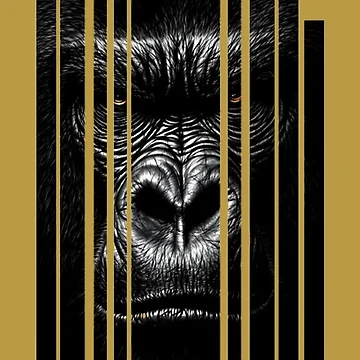 Aperçu de l'œuvre Alpha Stare de Inktypolis