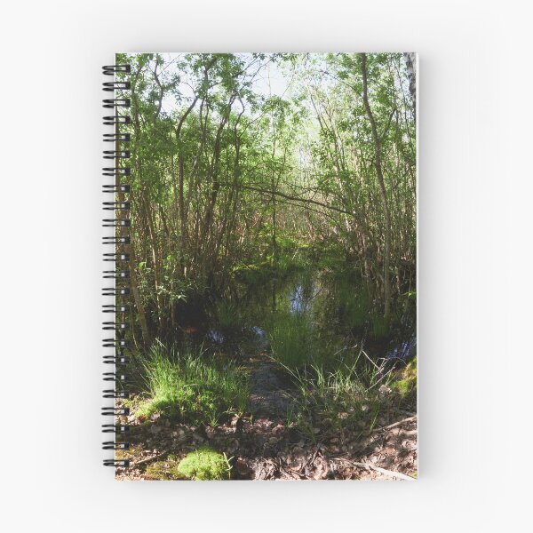 Artikelvorschau, Geheimer Teich entworfen und verkauft von Jouko Lehto Photography.