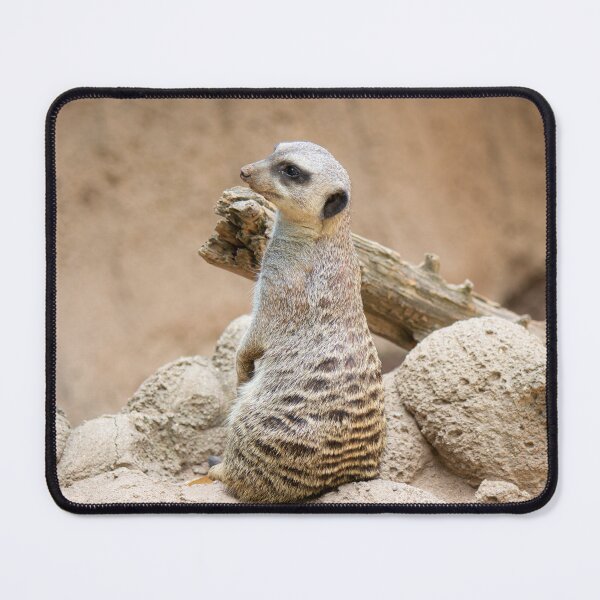 Item preview, Meerkat on Watch designed and sold by MichaelPictures.