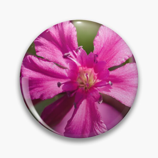 Item preview, Pink macro.Sticky Catchfly designed and sold by Jouko Lehto Photography.
