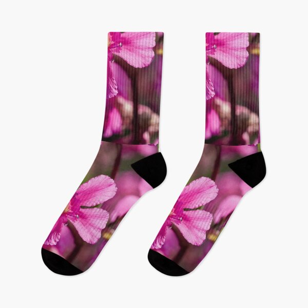 Item preview, Pink macro.Sticky Catchfly designed and sold by Jouko Lehto Photography.