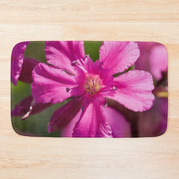 Item preview, Pink macro.Sticky Catchfly designed and sold by Jouko Lehto Photography.
