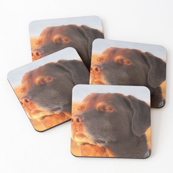 Item preview, dog mem designed and sold by RIHA-shop.