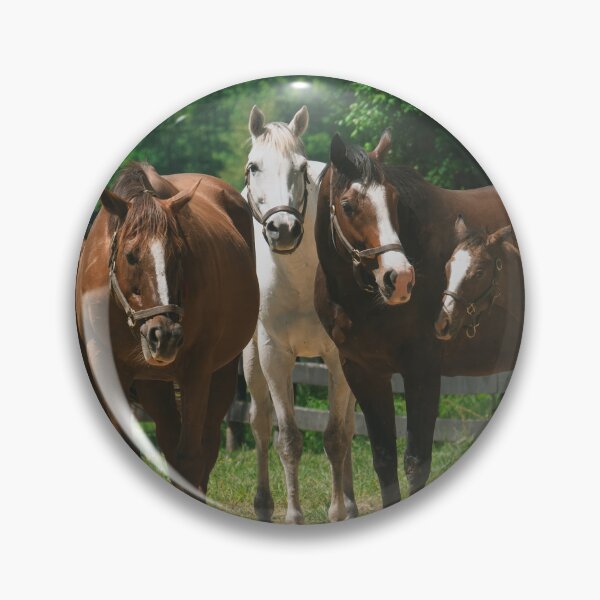 Item preview, Group of Horses and Foals in a Sunny Pasture designed and sold by MichaelPictures.