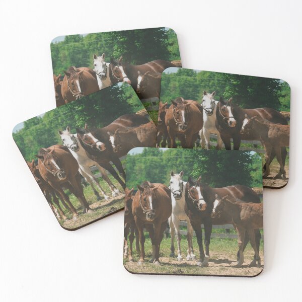 Item preview, Group of Horses and Foals in a Sunny Pasture designed and sold by Michael J Design.