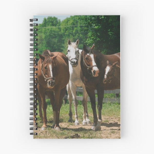 Item preview, Group of Horses and Foals in a Sunny Pasture designed and sold by MichaelPictures.