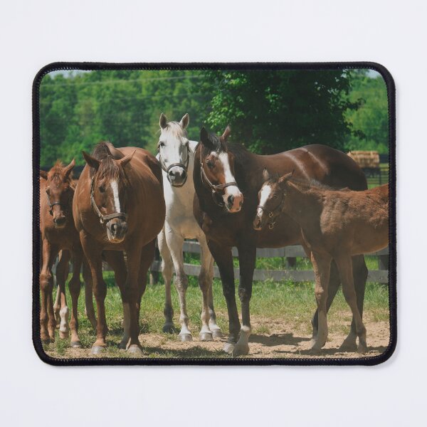Item preview, Group of Horses and Foals in a Sunny Pasture designed and sold by MichaelPictures.