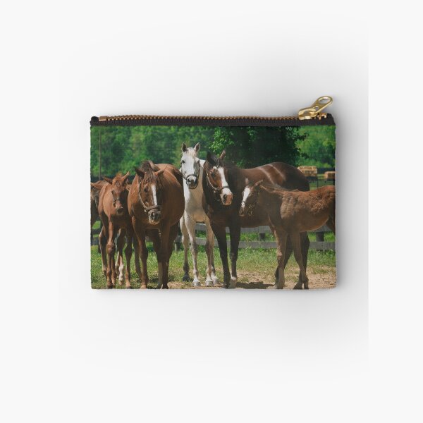 Item preview, Group of Horses and Foals in a Sunny Pasture designed and sold by MichaelPictures.