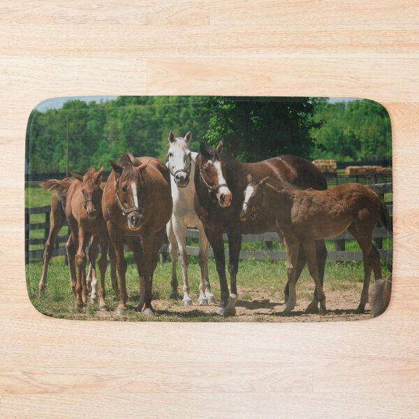 Item preview, Group of Horses and Foals in a Sunny Pasture designed and sold by MichaelPictures.