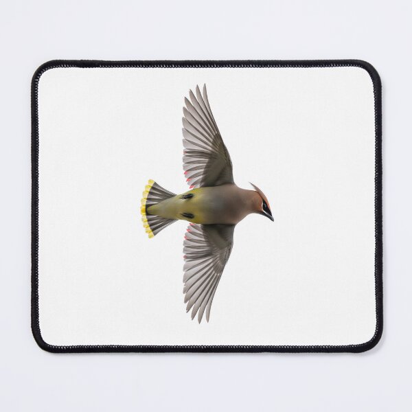 Item preview, Cedar Waxwing in Mid-Flight designed and sold by Cloud-Riders.