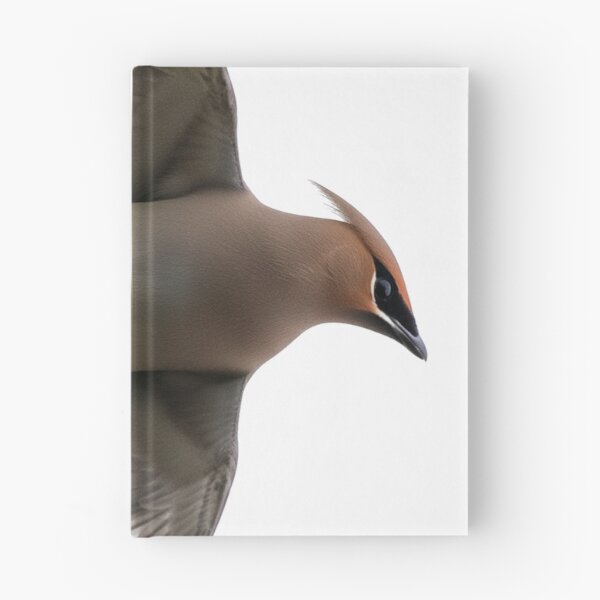 Item preview, Ampelis cedro en pleno vuelo designed and sold by Cloud-Riders.