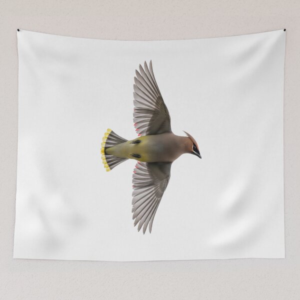 Item preview, Cedar Waxwing in Mid-Flight designed and sold by Cloud-Riders.