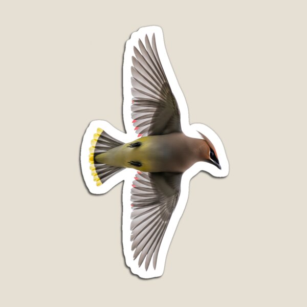 Item preview, Cedar Waxwing in Mid-Flight designed and sold by Cloud-Riders.