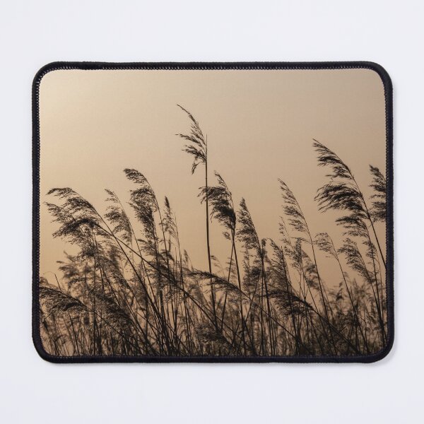 Item preview, Grasses designed and sold by KNBS.