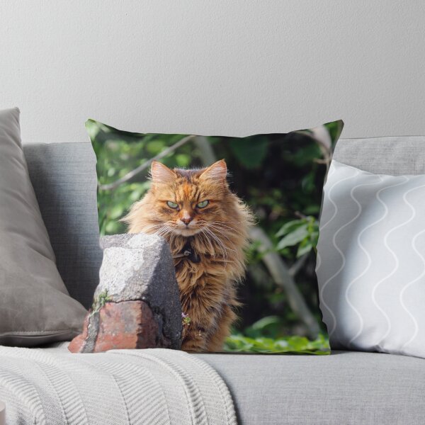 Item preview, Watching  designed and sold by GreyFeatherPhot.