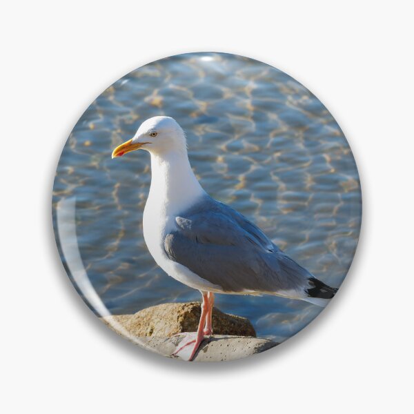 Item preview, Herring Gull Perched on the Rocks designed and sold by Dorset Girl.