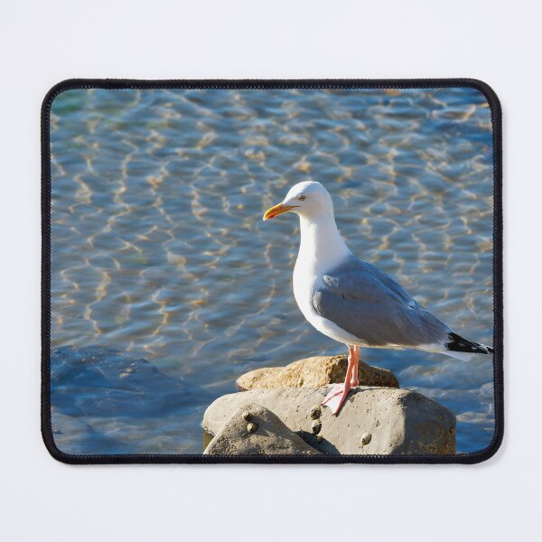 Item preview, Herring Gull Perched on the Rocks designed and sold by Dorset Girl.