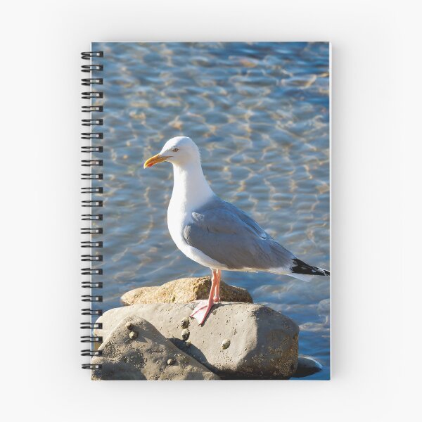 Item preview, Herring Gull Perched on the Rocks designed and sold by Dorset Girl.