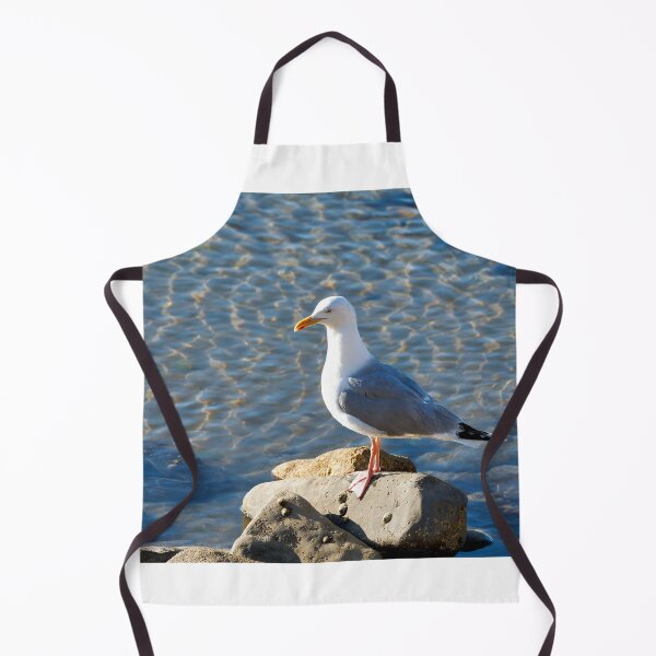 Item preview, Herring Gull Perched on the Rocks designed and sold by Dorset Girl.