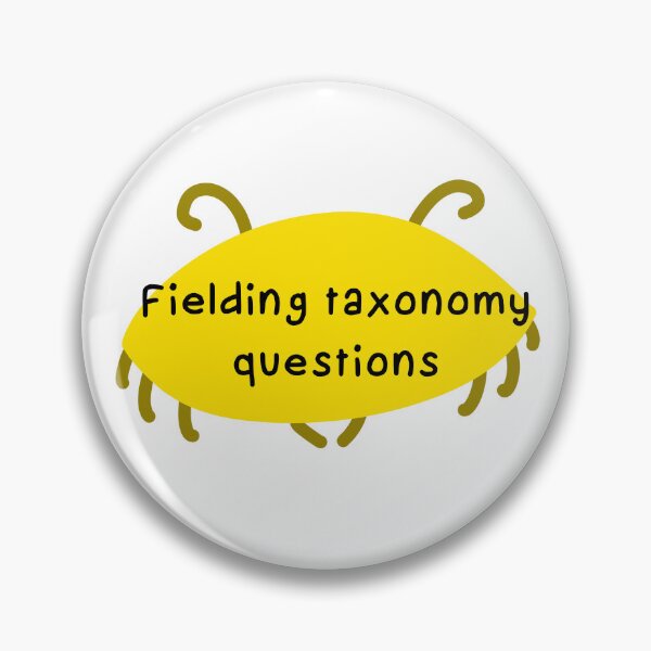 Item preview, Fielding taxonomy questions  designed and sold by eveyting.
