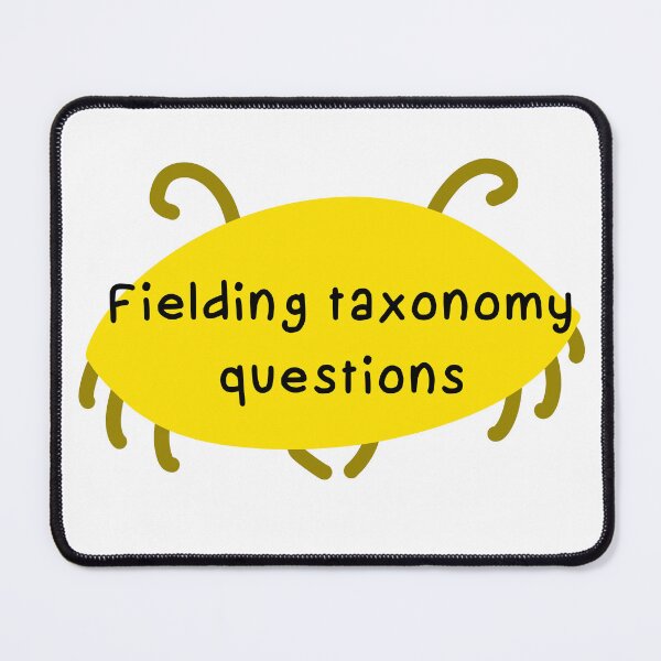 Item preview, Fielding taxonomy questions  designed and sold by eveyting.