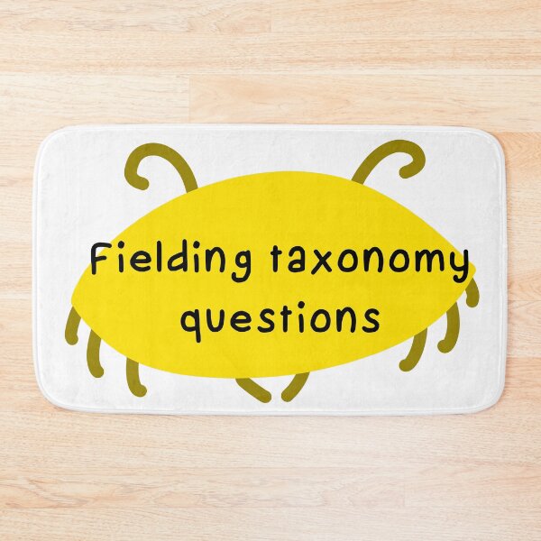 Item preview, Fielding taxonomy questions  designed and sold by eveyting.