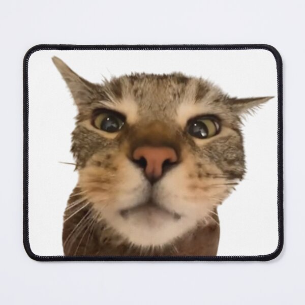 Item preview, cat bath time designed and sold by Diamanths.