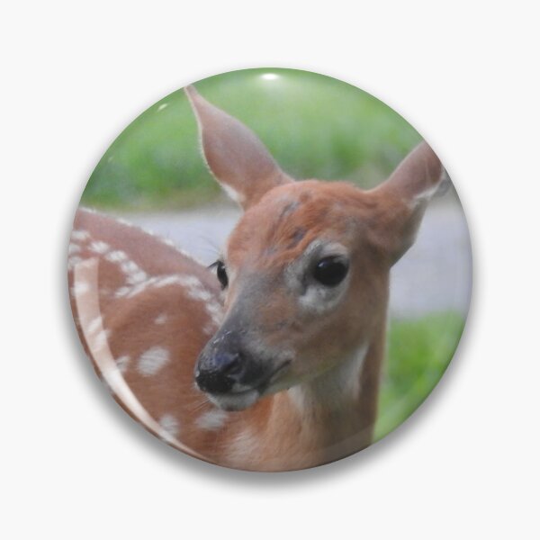 Item preview, Fawn in Yard designed and sold by priesterjen.
