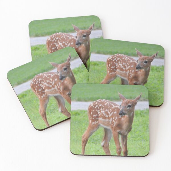 Item preview, Fawn in Yard designed and sold by priesterjen.