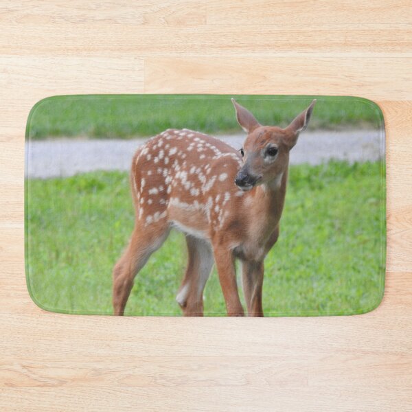 Item preview, Fawn in Yard designed and sold by priesterjen.