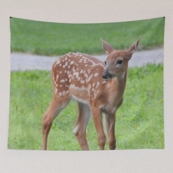 Item preview, Fawn in Yard designed and sold by priesterjen.