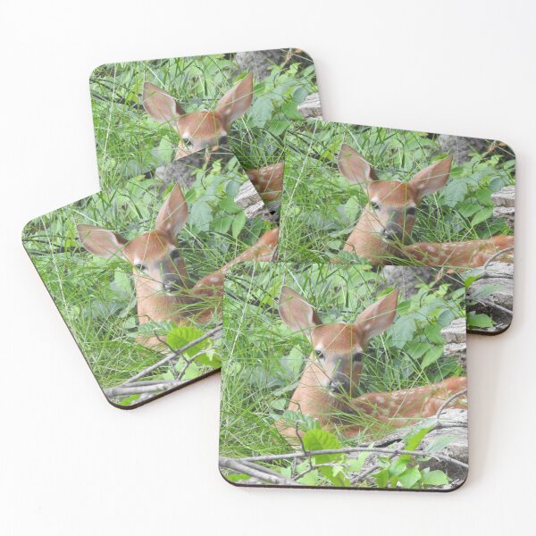 Item preview, Young Fawn Hidden in Grass designed and sold by priesterjen.