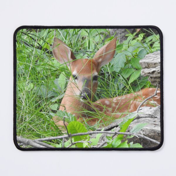 Item preview, Young Fawn Hidden in Grass designed and sold by priesterjen.