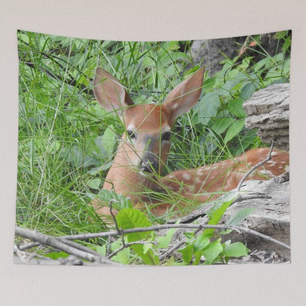 Item preview, Young Fawn Hidden in Grass designed and sold by priesterjen.