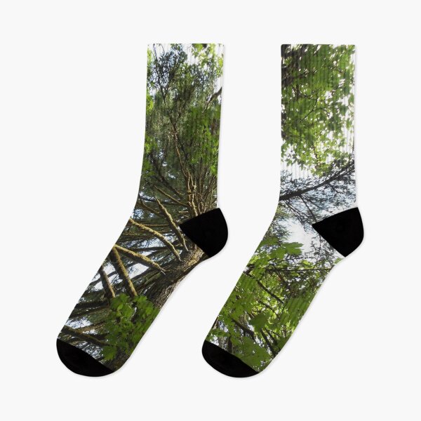 Item preview, Lush Green Mossy Tree – Pacific Northwest Nature designed and sold by starcraft542.