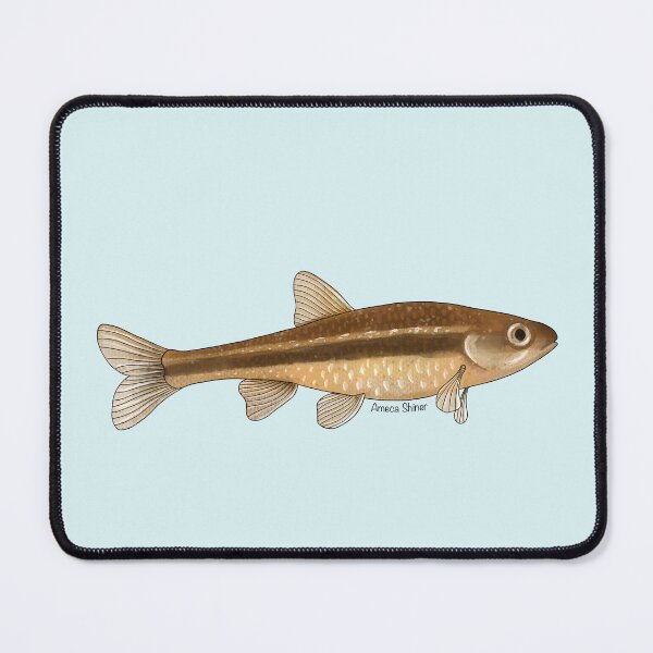 Item preview, Ameca Shiner Painting designed and sold by Meganemer4.