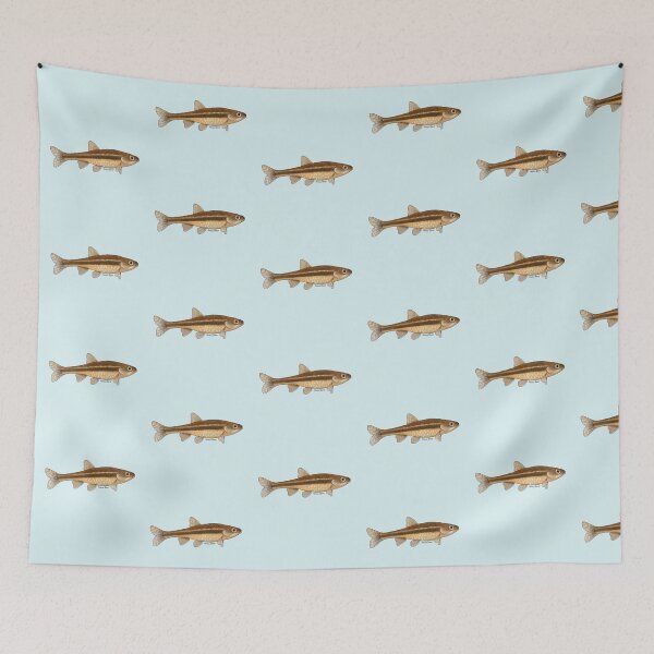 Item preview, Ameca Shiner Painting designed and sold by Meganemer4.