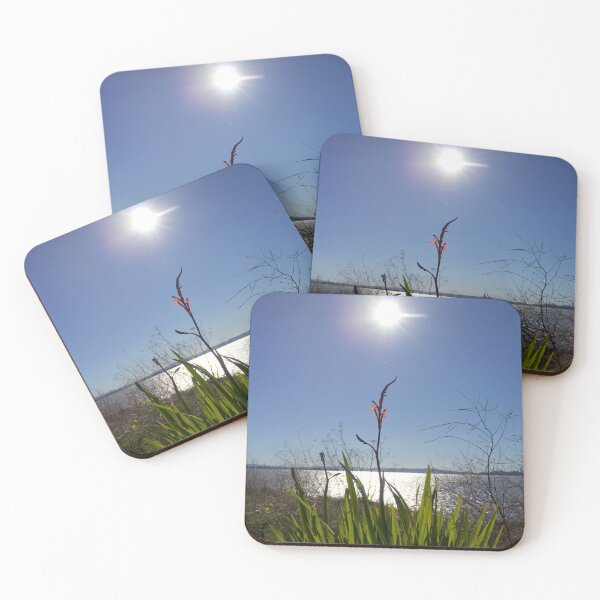 Item preview, Crocus in the Sun, SF Bay Area designed and sold by Scott K Smith.