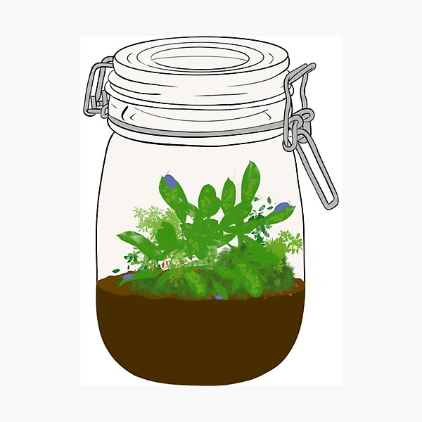 Aperçu de l'œuvre Nature en bouteille créée et vendue par The Soapiest Goat.