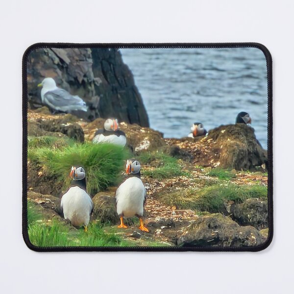 Item preview, Puffins love designed and sold by Alla Gill.