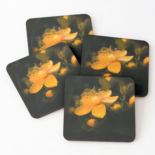 Item preview, Sunshine Flower  designed and sold by photosby-J.
