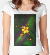 Out foraging Women's Fitted Scoop T-Shirt