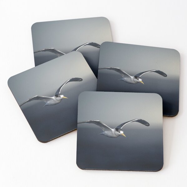 Item preview, Greater Crested Tern designed and sold by robdwildlife.