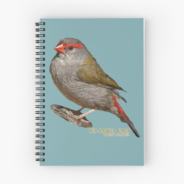 Item preview, Red Browed Finch designed and sold by SEADOGPRINTS.